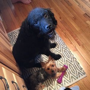 Meet your Posher, Christina